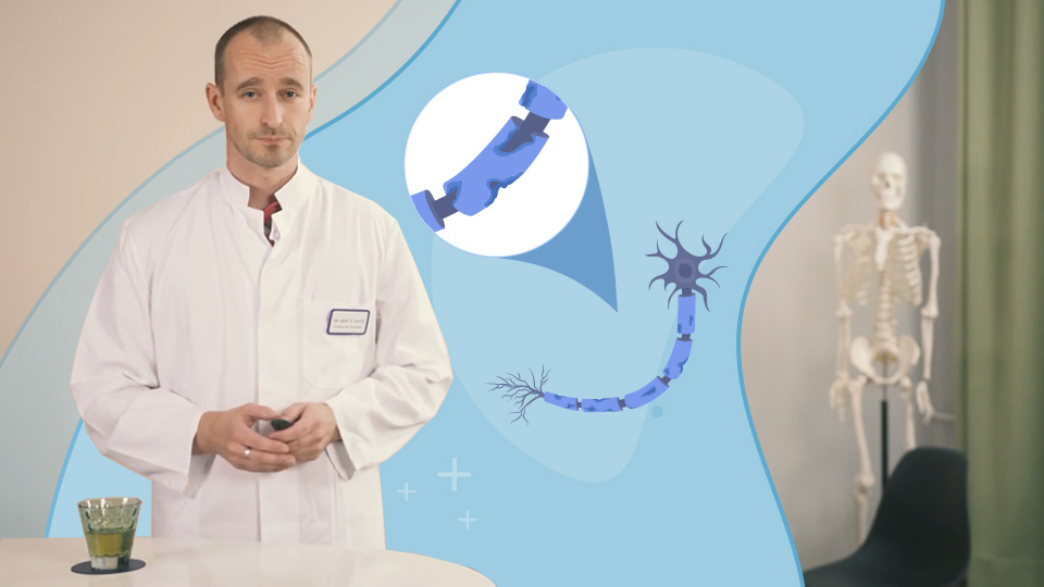 Vorschaubild zum Kurs: Multiple Sklerose (MS)